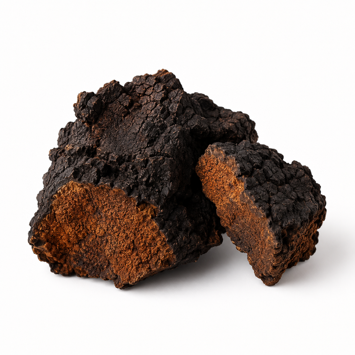 Chaga Mushroom