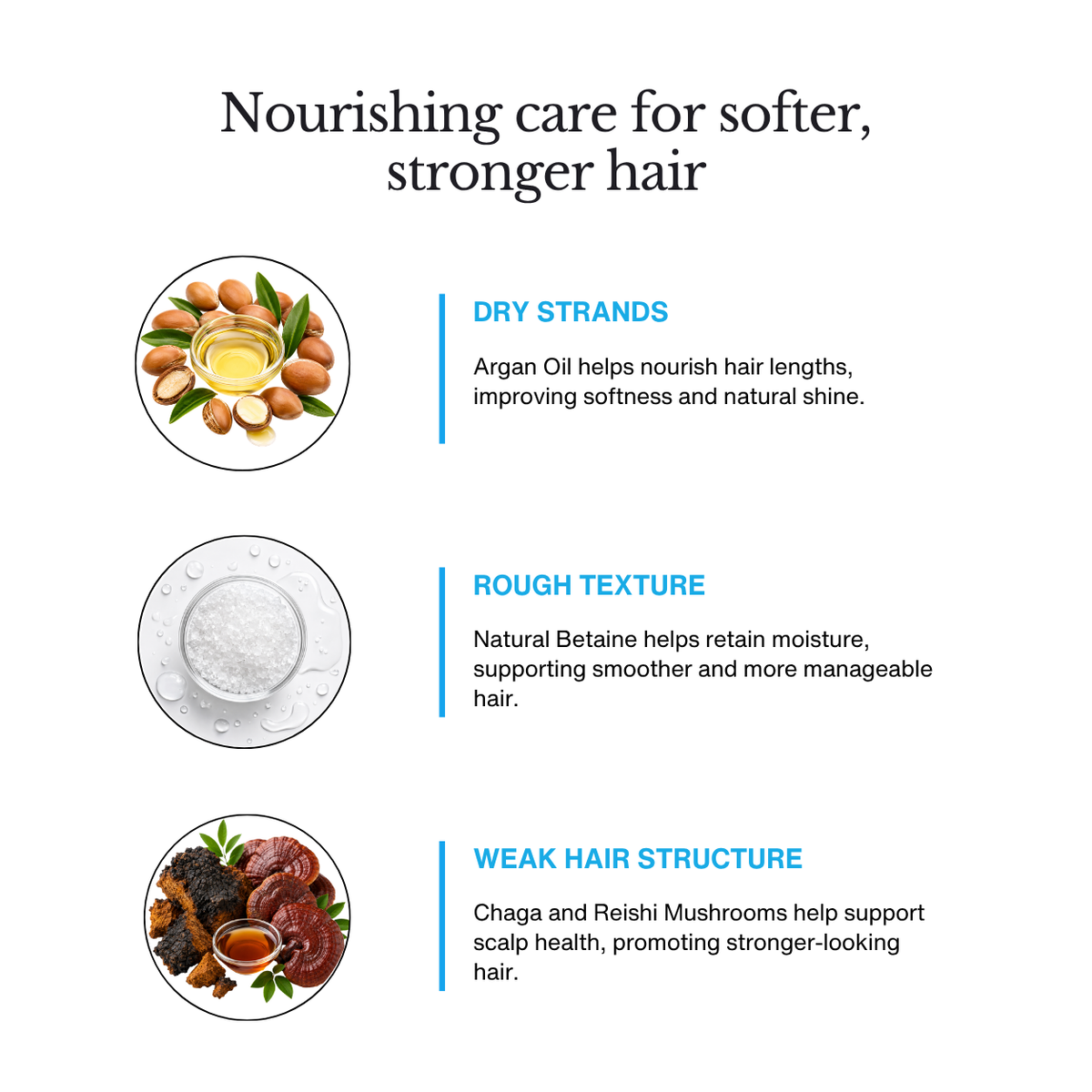 Argan & Mushroom Shampoo