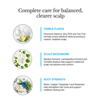 Clear Scalp Kit