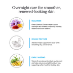 Night Repair Cream
